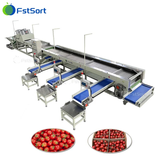 Tecnologia de processamento de frutas Classificação Máquina de classificação de tomate cereja e batata-doce Classificação Longan Equipamento de processamento de limão para classificação de cal