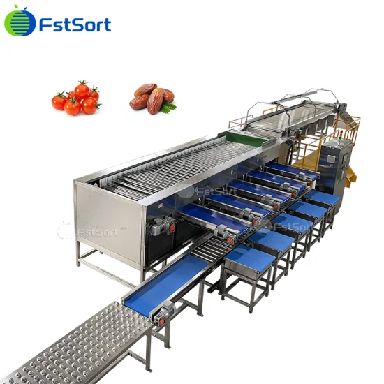 Equipamento de processamento de vegetais de frutas Equipamento de dimensionamento de tomate cereja Classificador de cal Equipamento de processamento de limão Fabricante Máquina de classificação de frutas